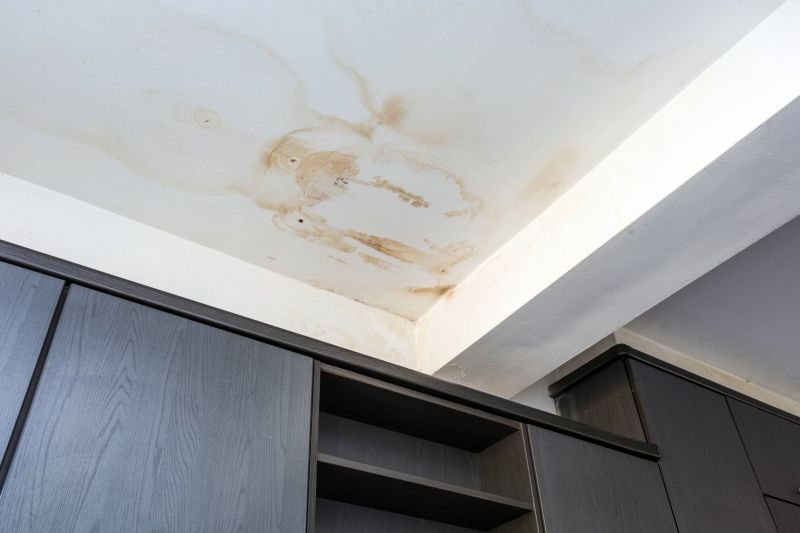 Water Damage Ceiling Repair in Denver County, CO