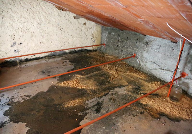 Attic Water Damage Repair in Houston, TX
