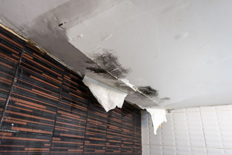 Attic Water Damage Repair in Katy, TX
