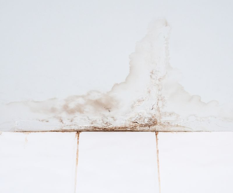 Bathroom Water Damage Repair in Houston, TX