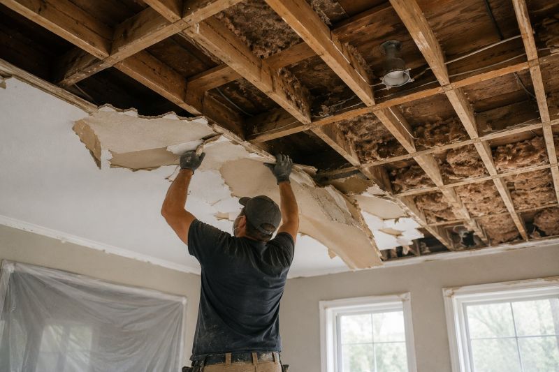 Ceiling Removal Service in Littleton, CO